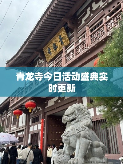 青龙寺今日活动盛典实时更新