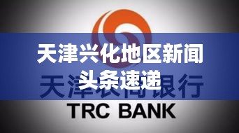 天津兴化地区新闻头条速递