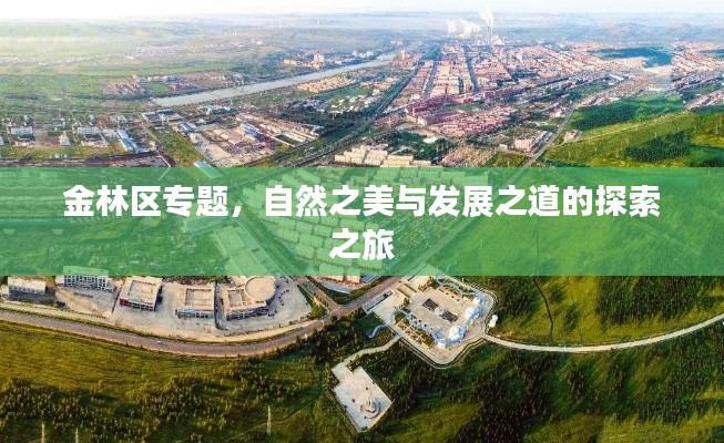 金林区专题，自然之美与发展之道的探索之旅