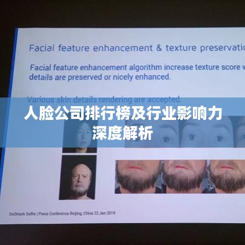 人脸公司排行榜及行业影响力深度解析