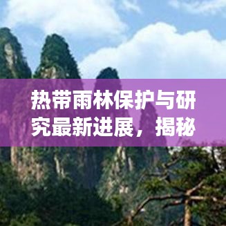 热带雨林保护与研究最新进展，揭秘保护成果与研究动态新闻头条