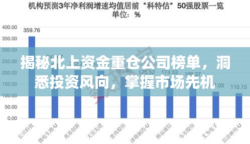 揭秘北上资金重仓公司榜单，洞悉投资风向，掌握市场先机