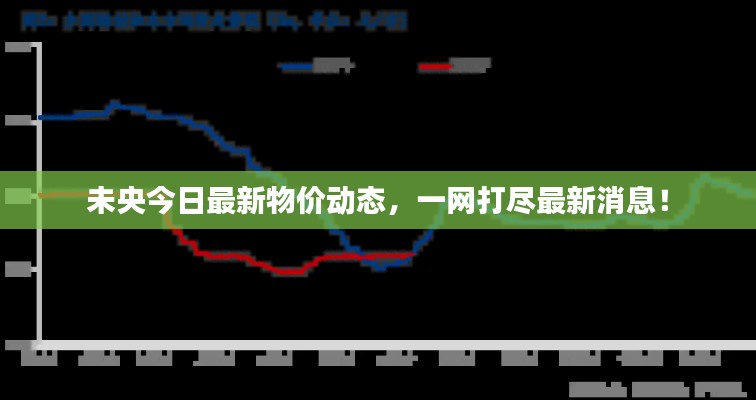 未央今日最新物价动态，一网打尽最新消息！