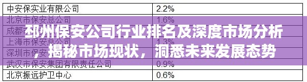 邳州保安公司行业排名及深度市场分析，揭秘市场现状，洞悉未来发展态势