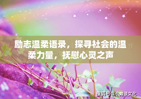 励志温柔语录，探寻社会的温柔力量，抚慰心灵之声