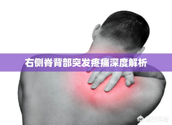 右侧脊背部突发疼痛深度解析