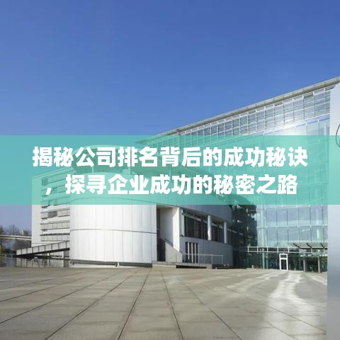 揭秘公司排名背后的成功秘诀，探寻企业成功的秘密之路