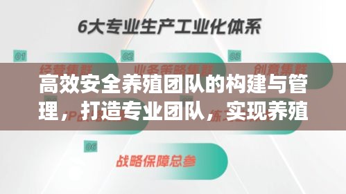 高效安全养殖团队的构建与管理，打造专业团队，实现养殖产业安全高效发展