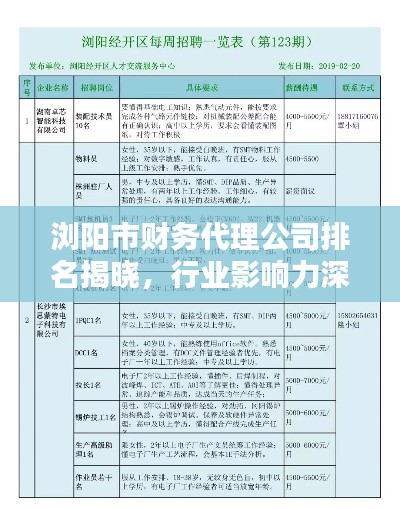浏阳市财务代理公司排名揭晓，行业影响力深度解析