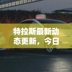 特拉斯最新动态更新，今日消息一览