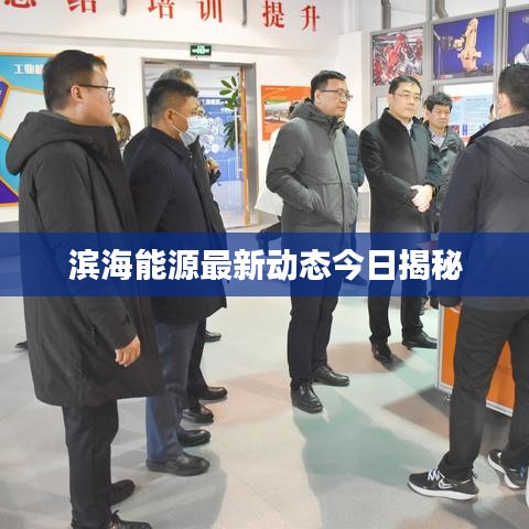 滨海能源最新动态今日揭秘