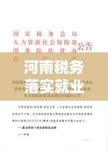 河南税务落实就业政策的实践与探索之路