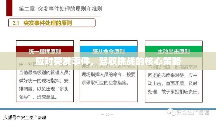 应对突发事件，驾驭挑战的核心策略