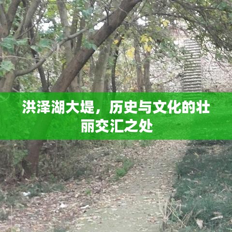 洪泽湖大堤，历史与文化的壮丽交汇之处