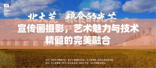 2025年6月4日 第4页