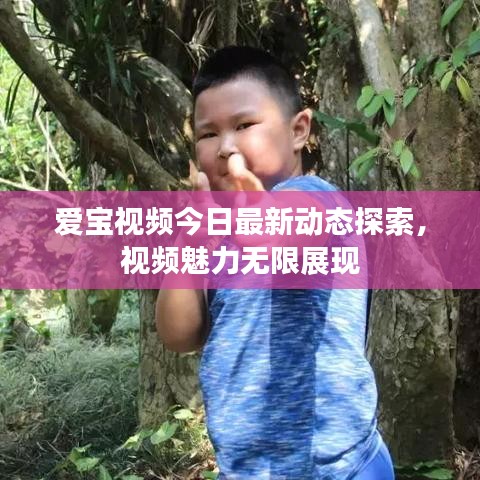 爱宝视频今日最新动态探索，视频魅力无限展现