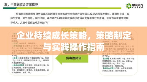 企业持续成长策略，策略制定与实践操作指南