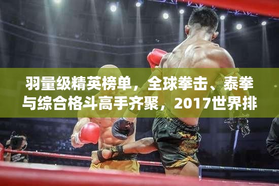 羽量级精英榜单，全球拳击、泰拳与综合格斗高手齐聚，2017世界排名震撼发布！