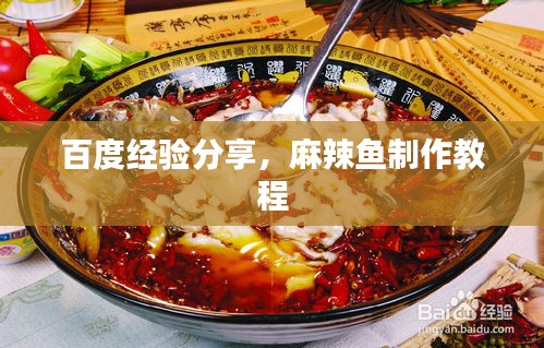 百度经验分享，麻辣鱼制作教程
