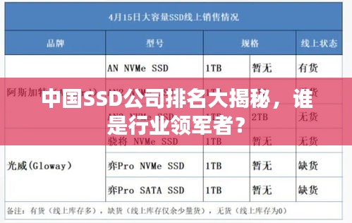 中国SSD公司排名大揭秘，谁是行业领军者？