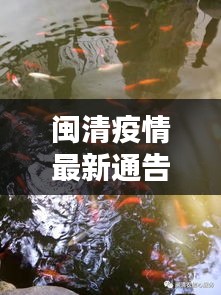 闽清疫情最新通告图曝光，最新动态，不容错过！