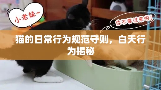 贵卖贱买