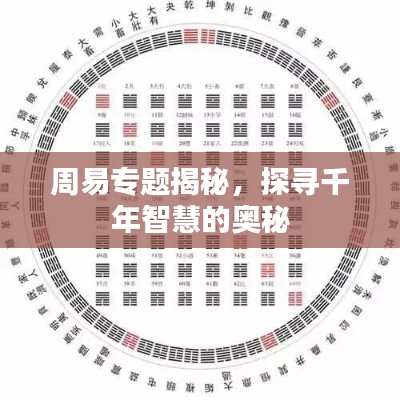 周易专题揭秘，探寻千年智慧的奥秘