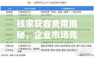 独家获客费用揭秘，企业市场竞争的新挑战与应对策略