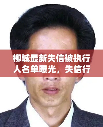 柳城最新失信被执行人名单曝光，失信行为影响深远，了解信息至关重要