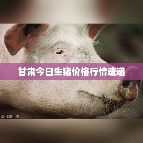 欣喜若狂