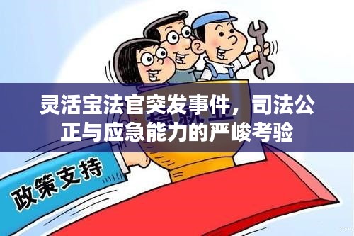 灵活宝法官突发事件，司法公正与应急能力的严峻考验