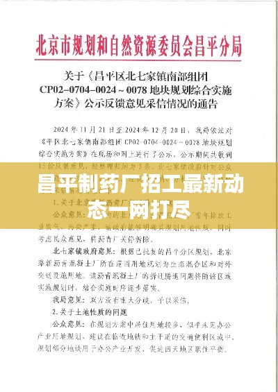 矫枉过正