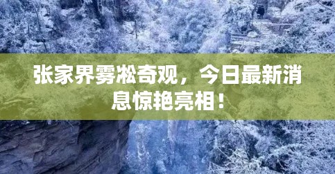 气宇轩昂
