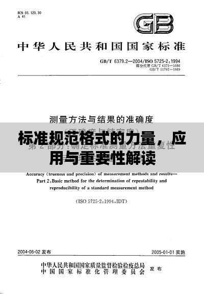 标准规范格式的力量，应用与重要性解读