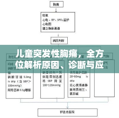 儿童突发性胸痛，全方位解析原因、诊断与应对策略