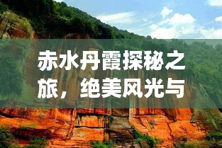 正襟危坐