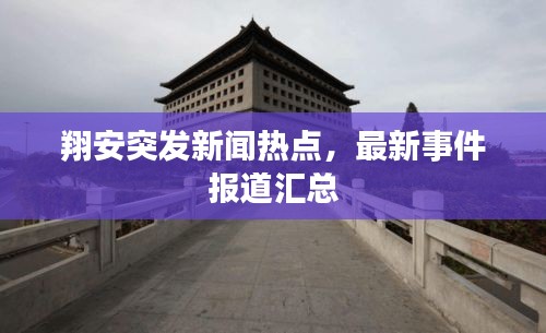 翔安突发新闻热点，最新事件报道汇总