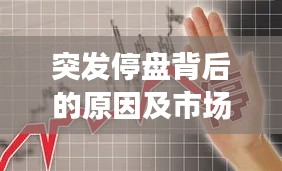 突发停盘背后的原因及市场影响深度解析