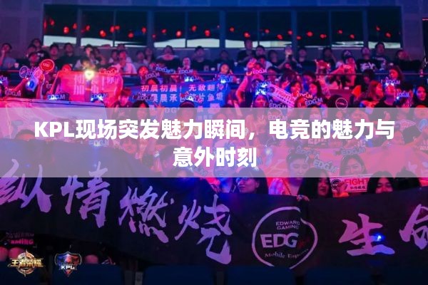 KPL现场突发魅力瞬间，电竞的魅力与意外时刻