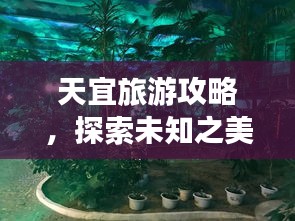 口若悬河