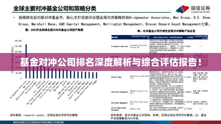 基金对冲公司排名深度解析与综合评估报告！