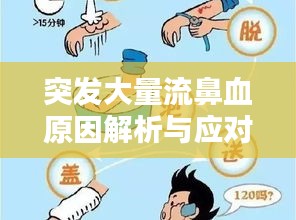 突发大量流鼻血原因解析与应对妙招