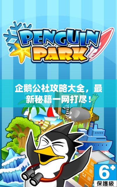 小鸟伊人