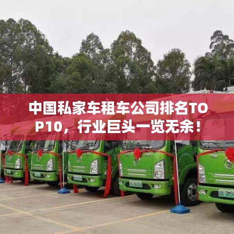 中国私家车租车公司排名TOP10，行业巨头一览无余！