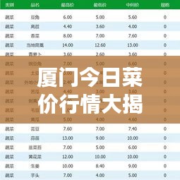 厦门今日菜价行情大揭秘，最新菜价走势分析！