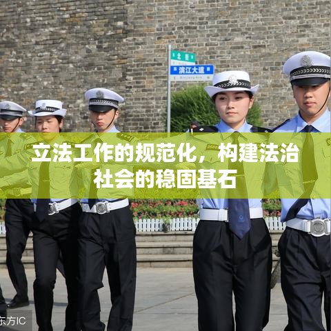立法工作的规范化，构建法治社会的稳固基石