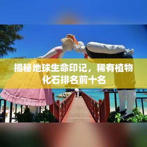揭秘地球生命印记，稀有植物化石排名前十名