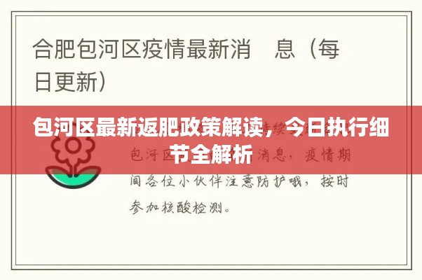 包河区最新返肥政策解读，今日执行细节全解析