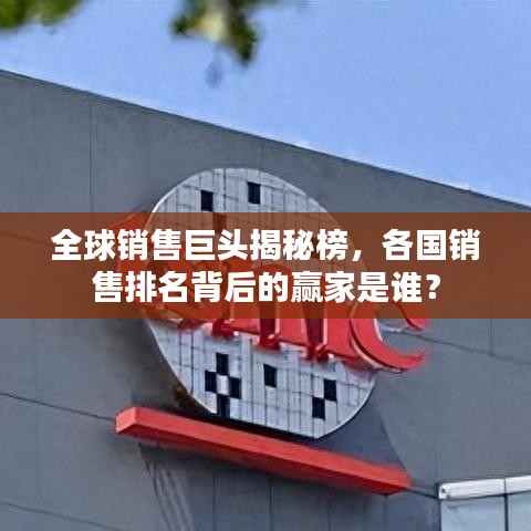 全球销售巨头揭秘榜，各国销售排名背后的赢家是谁？