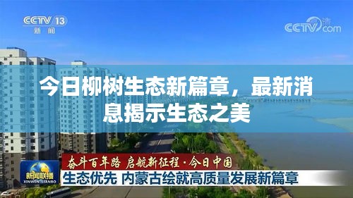 今日柳树生态新篇章，最新消息揭示生态之美